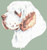 Clumber Spaniel / White Willow Stitching