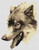 Gray Wolf / White Willow Stitching