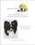 Black And White Papillon / White Willow Stitching