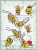 Sugar Hunting Accident / Alessandra Adelaide Needleworks