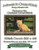 Curious Yellow Kitten Cross Stitch Pattern / Stitchx Craft Designs