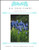 Blue Spring Flowers / X Squared Cross Stitch