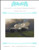 In The Vicinity Of The Savvino-Storozhevsky Monastery / X Squared Cross Stitch