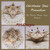 Christmas Star Pincushion / MTV Designs