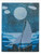 Moonlight Sail / Salty Stitcher Designs