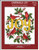 Cardinal Joy / Imaginating