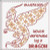 Attention Dragon / Alessandra Adelaide Needleworks
