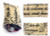 French Glasses Case / Peacock & Fig