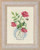 Roses / Permin / 928354