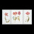 Tulips / Thea Gouverneur / GOK2039