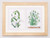 White Flowers / Thea Gouverneur / GOK446