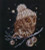Whoo Whoo Its Winter / Thea Gouverneur / GOK743B