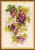 Grapevine / RIOLIS / RL1455