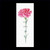 Carnation Pink / Thea Gouverneur / GOK467A