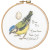 Little Blue Tit - Garden Birds by Madeleine Floyd / Bothy Threads / BTXMF6