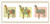 Llama Parade / Vickery Collection