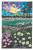 Field Of Joy / Imaginating