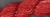 Hibiscus Very Dark / DD SW