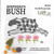 Lucky Notes Btn Pack (SB) / Just Another Button Company