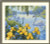 Enchanted Pond / Merejka / MK263