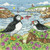Puffin Shore - By the Sea / Heritage Crafts / HCK1610A