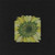 Sunflower / Permin / 133363
