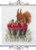 Squirrel & Apples / Permin / 925309