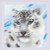 Snow Leopard / RIOLIS / RL1886