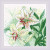 White Lilies / RIOLIS / RL1915