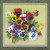 Pansies - Satin Stitch / RIOLIS / RLPT0059