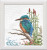 Kingfisher on Branch / Thea Gouverneur / GOK615