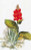 Yucca / Thea Gouverneur / GOK846