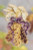 Indian Corn (2011) / Mill Hill / MH181202