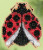 Ladybug Hug (2015) / Mill Hill / MH185103