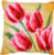 Tulips Cushion / Vervaco / PNV204603