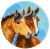 2 Horses - Latch Hook Shaped Rug / Vervaco / PNV183297