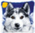 Wolf - Cushion - Latch Hook  / Vervaco / PNV14127