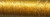 5815 / Golden Chardonnay / B3898