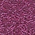 Brilliant Fuschia / Mill Hill / 20252