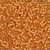 Pumpkin / Mill Hill / 10009