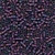 Wild Blueberry / Mill Hill / 20081