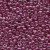 Elderberry / Mill Hill / 11082