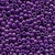 Purple / Mill Hill / 11008