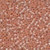 Shimmering Apricot / Mill Hill / 11065