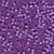 Shimmering Lilac / Mill Hill / 11058