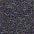 Violet / Mill Hill / 11045
