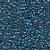 Blue Iris / Mill Hill / 11107