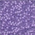 Lavender / Mill Hill / 02023
