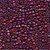 Royal Plum / Mill Hill / 00431