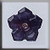 5 Petal Dim Flower Amethyst Moonstone / Mill Hill / 12011